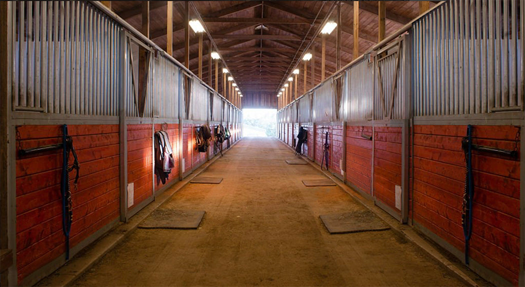 ItsAHaggertys Stable – It's A Haggerty's